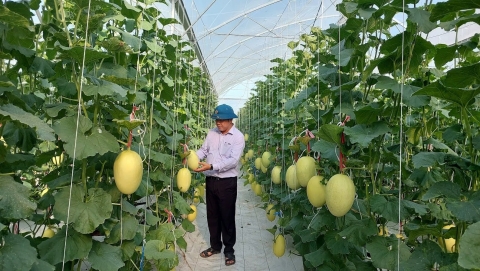 khanh hoa trong dua luoi cong nghe cao nang suat vuot troi