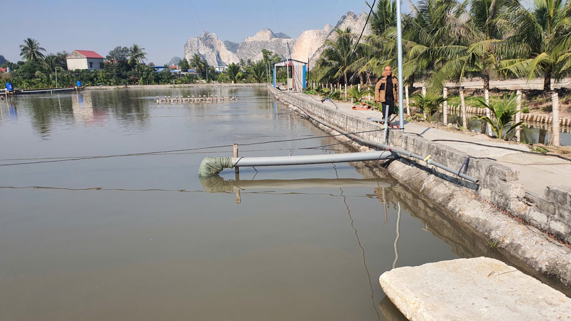 Đưa cá kho của nông dân Hải Phòng thành sản phẩm OCOP chất lượng Đưa cá kho của nông dân Hải Phòng thành sản phẩm OCOP chất lượng