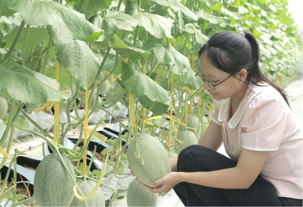 Các nông sản OCOP của Bắc Ninh nhận được sự yêu thích, ưa chuộng của người tiêu dùng.