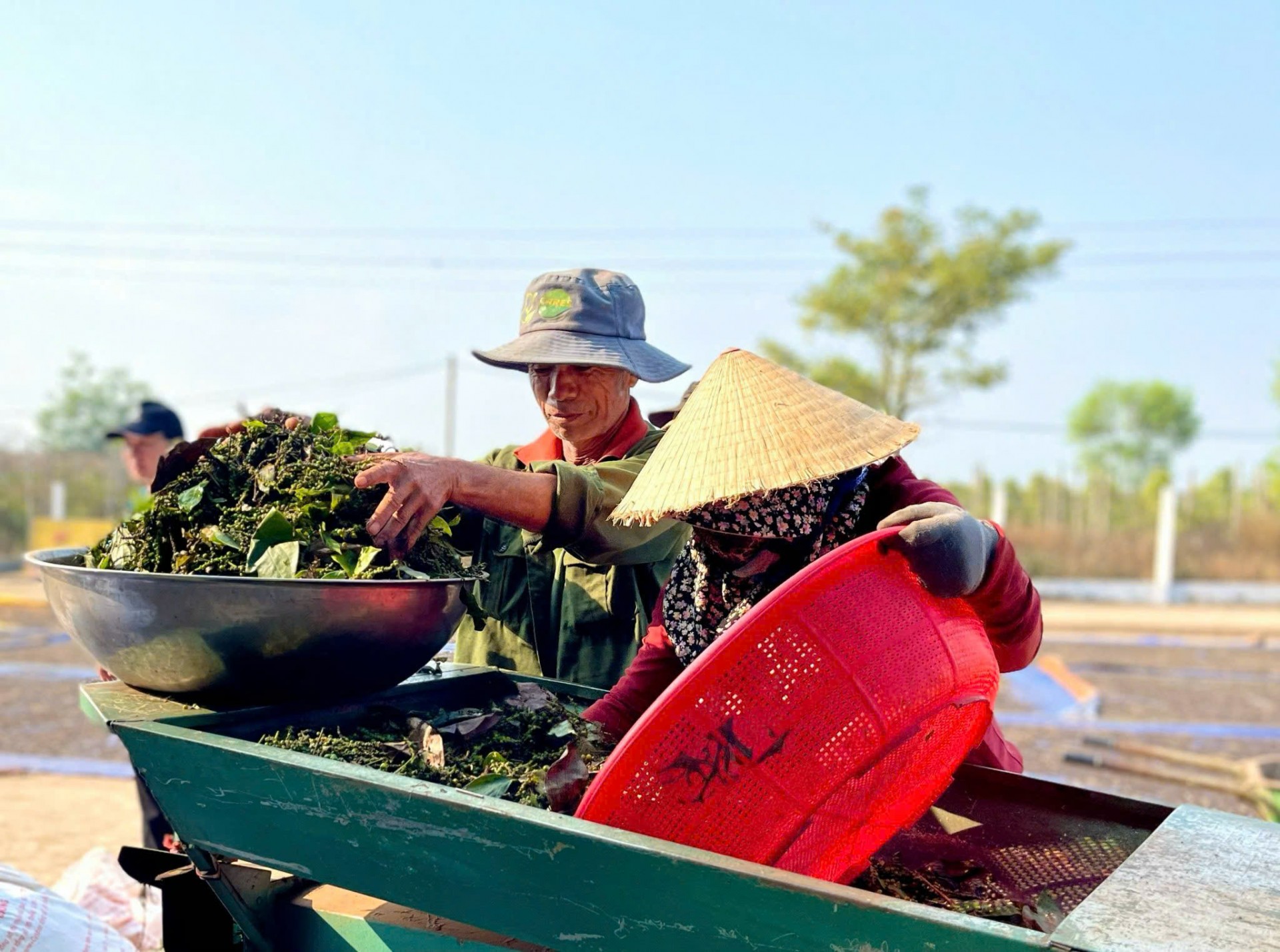 Từ “thủ phủ” hồ tiêu đến OCOP 5 sao Từ “thủ phủ” hồ tiêu đến OCOP 5 sao
