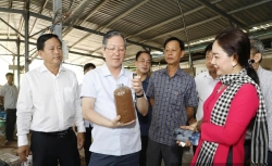 Nông dân Việt Nam chung sức dựng xây nông thôn mới hiện đại