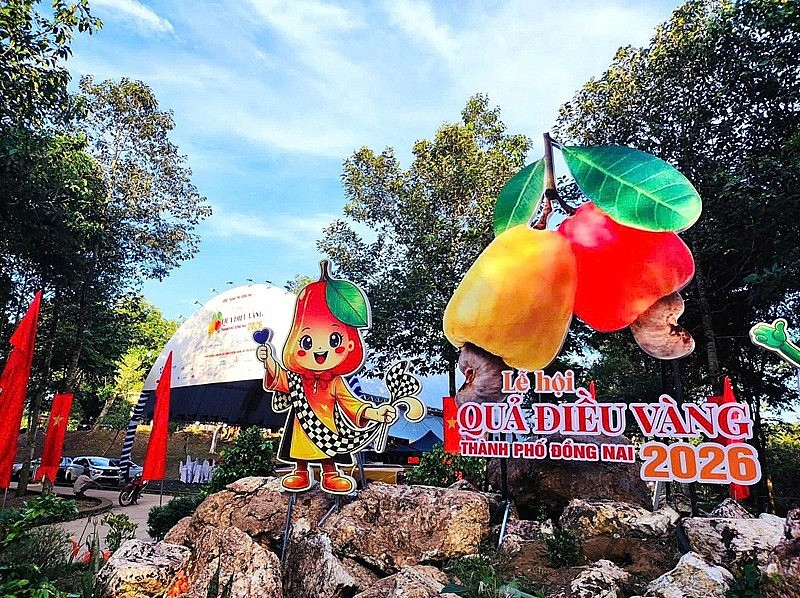 Lễ hội Quả điều vàng năm 2026 với chủ đề “Khơi nguồn giá trị - Nâng tầm hạt điều Việt” diễn ra từ ngày 22 - 24/5 tại TP. Đồng Nai