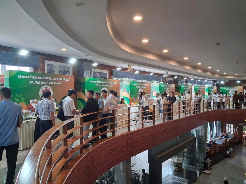 Hội nghị kết nối sản phẩm nông sản, sản phẩm OCOP và đặc trưng tiêu biểu năm 2026 thu hút gần 400 đại biểu từ các nông hộ, HTX, doanh nghiệp sản xuất trên địa bàn đến tham dự
