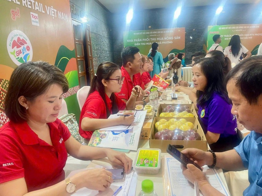 Hội nghị vừa tạo cơ hội khẳng định vị thế, chất lượng nông sản Gia Lai, vừa để các bên tìm kiếm đối tác chiến lược, ký kết tiêu thụ hoàn thiện chuỗi cung ứng cùng những đơn vị phân phối hàng đầu cả nước