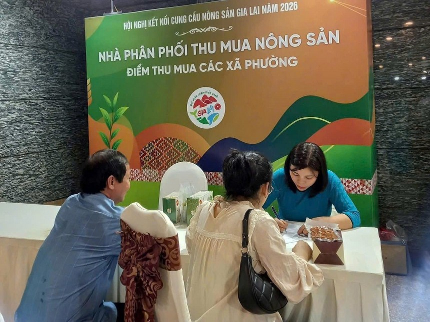 Thông qua hoạt động kết nối thực chất, tỉnh Gia Lai đặt mục tiêu từng bước nâng cao năng suất, chỉ số cạnh tranh, gia tăng giá trị xuất khẩu