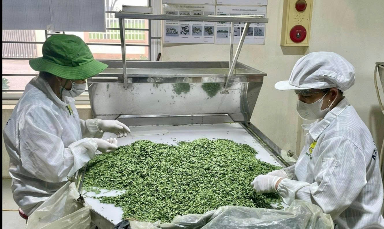 Công ty TNHH một thành viên Vũ Công có 7 sản phẩm OCOP từ nông sản địa phương.