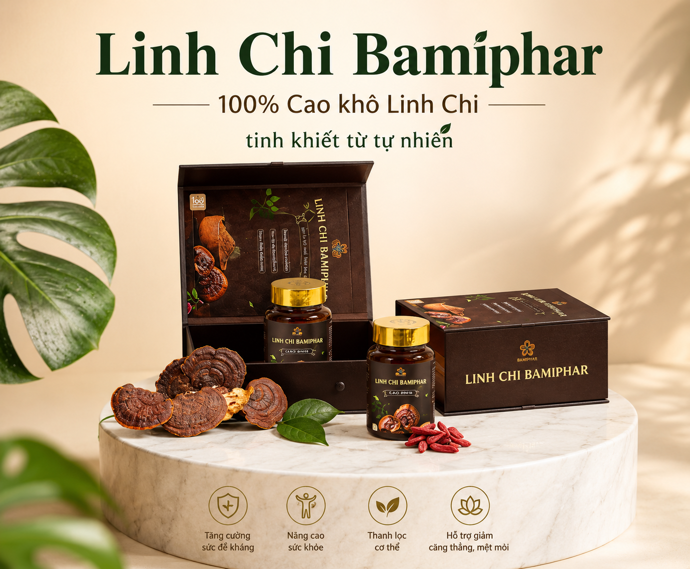 Linh Chi Bamiphar được bào chế từ sự kết hợp của 5 loại nấm linh chi quý, mang đến nguồn dược chất tự nhiên hỗ trợ nâng cao sức khỏe.