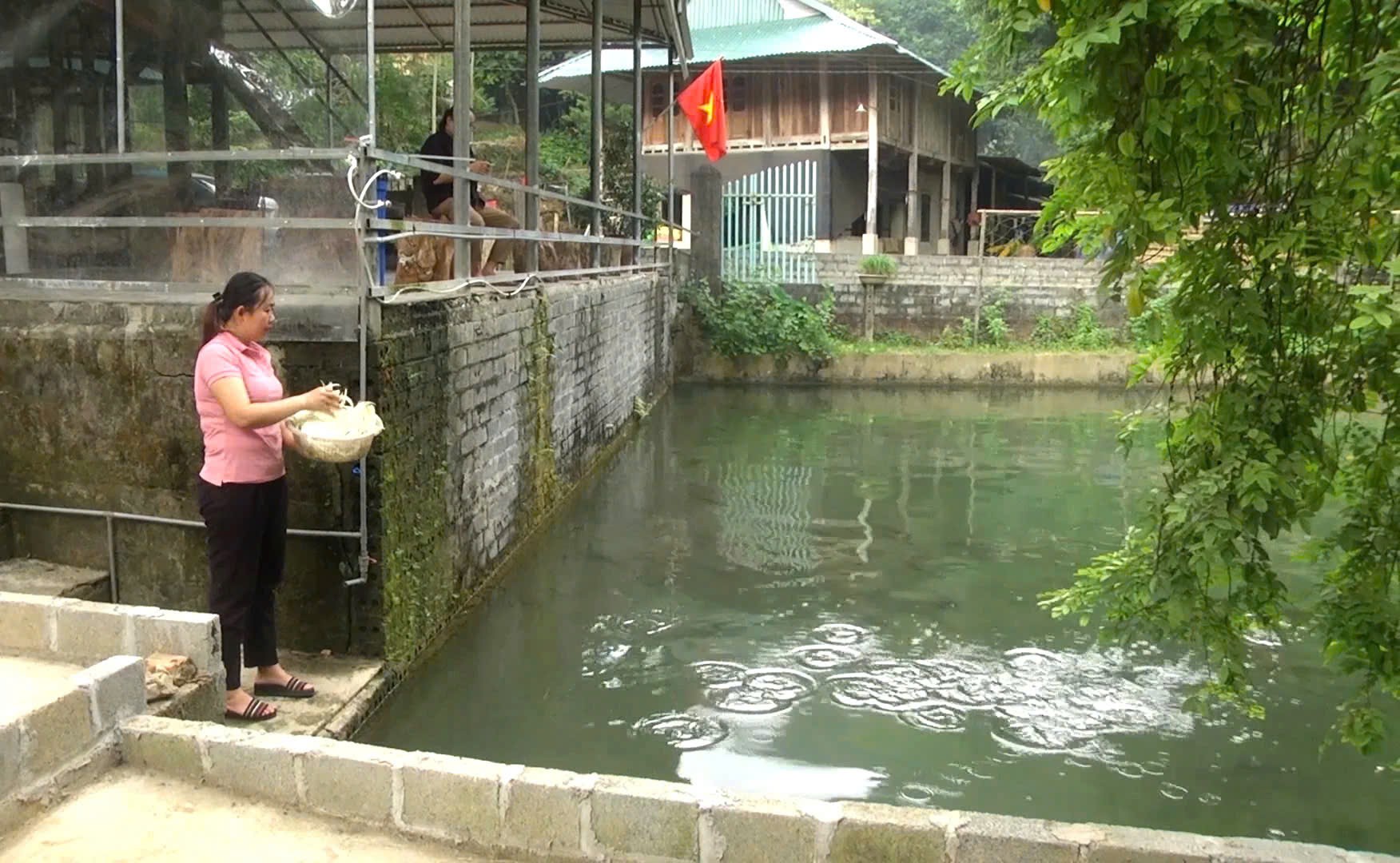 Dưới chân núi đá Mai Hạ (Phú Thọ), Dưới chân núi đá Mai Hạ (Phú Thọ),