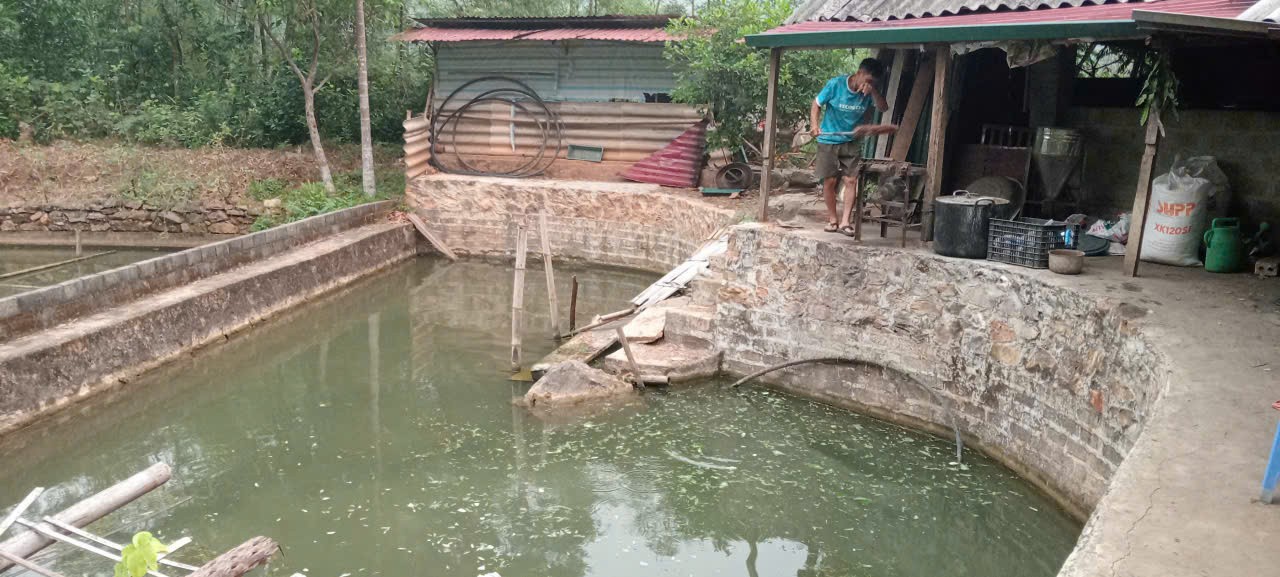 Dưới chân núi đá Mai Hạ (Phú Thọ), Dưới chân núi đá Mai Hạ (Phú Thọ),