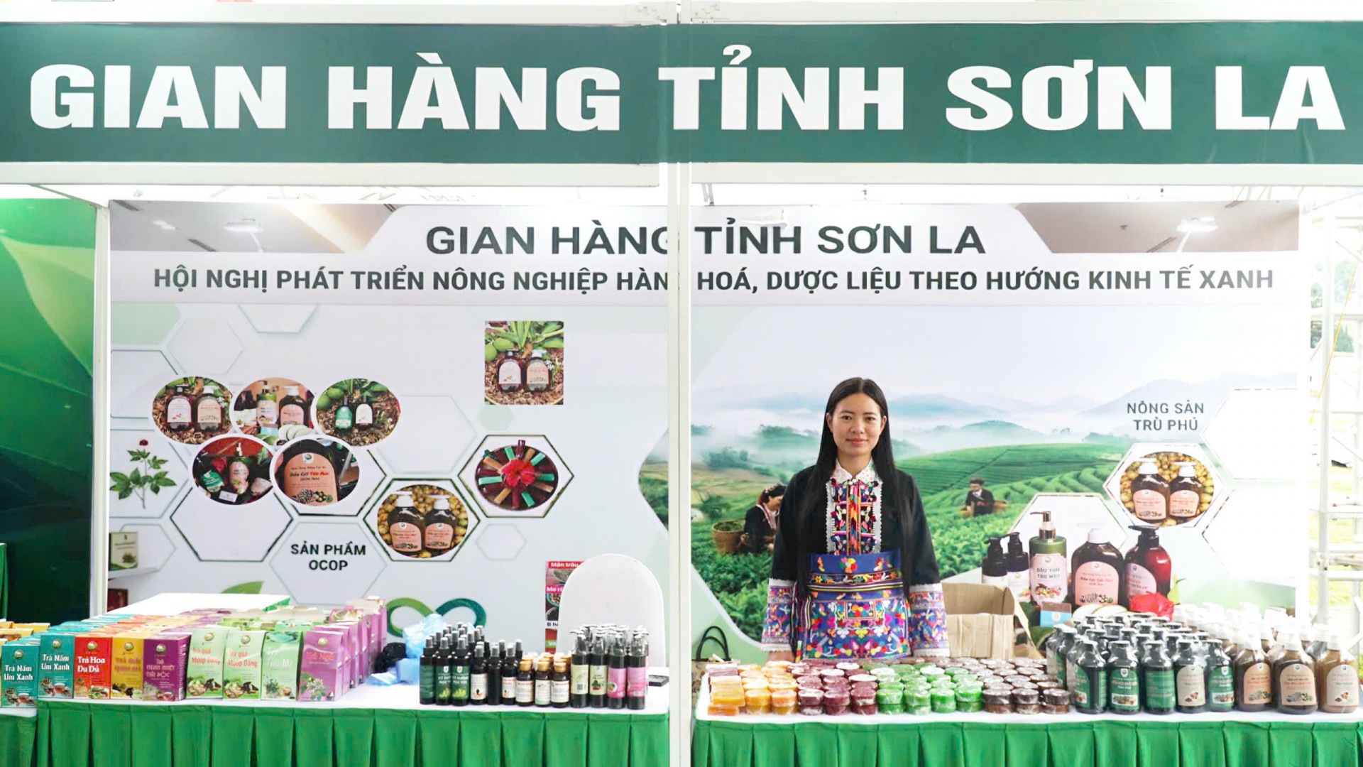Mùi hương núi rừng và giấc mơ OCOP của người làm dược liệu Mường La Mùi hương núi rừng và giấc mơ OCOP của người làm dược liệu Mường La