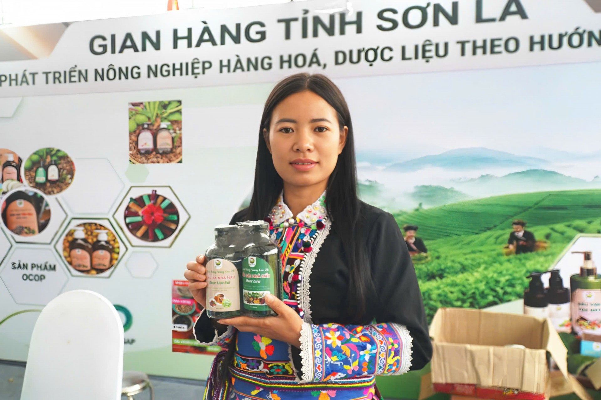 Mùi hương núi rừng và giấc mơ OCOP của người làm dược liệu Mường La Mùi hương núi rừng và giấc mơ OCOP của người làm dược liệu Mường La