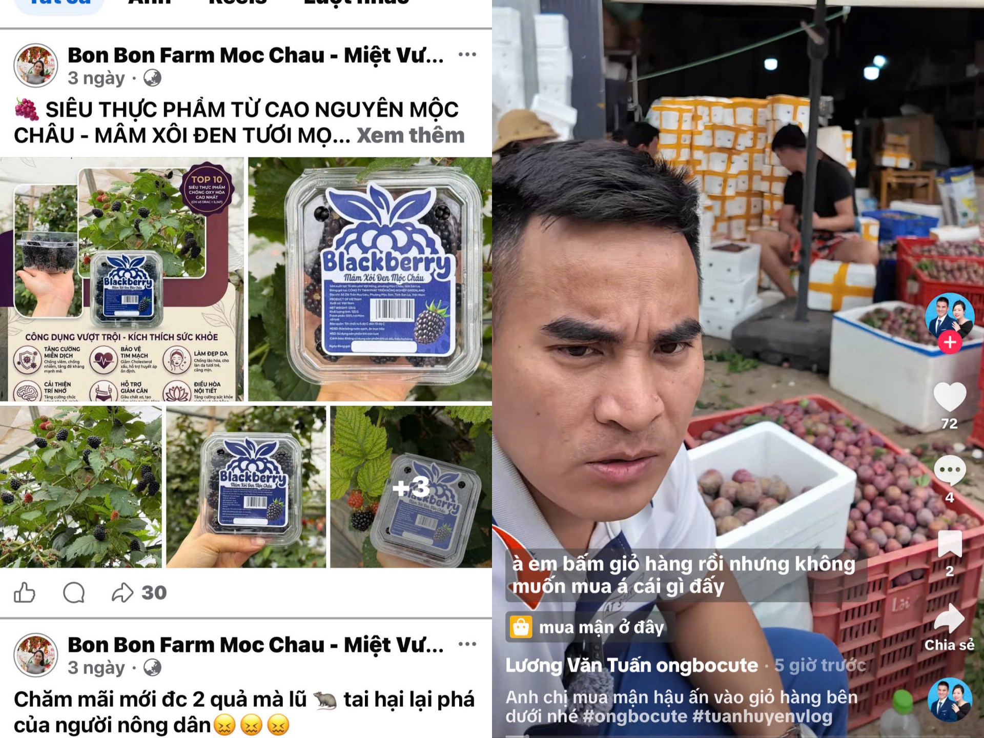 Chạm màn hình, mở lối đi cho nông sản Mộc Châu Chạm màn hình, mở lối đi cho nông sản Mộc Châu