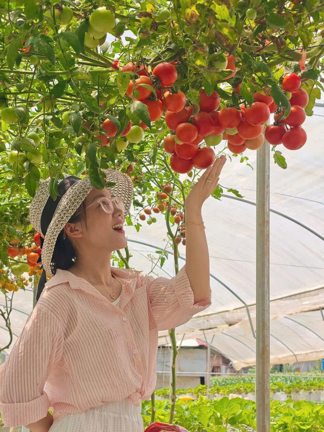 Có một “vườn địa đàng” giữa cao nguyên Mộc Châu Có một “vườn địa đàng” giữa cao nguyên Mộc Châu