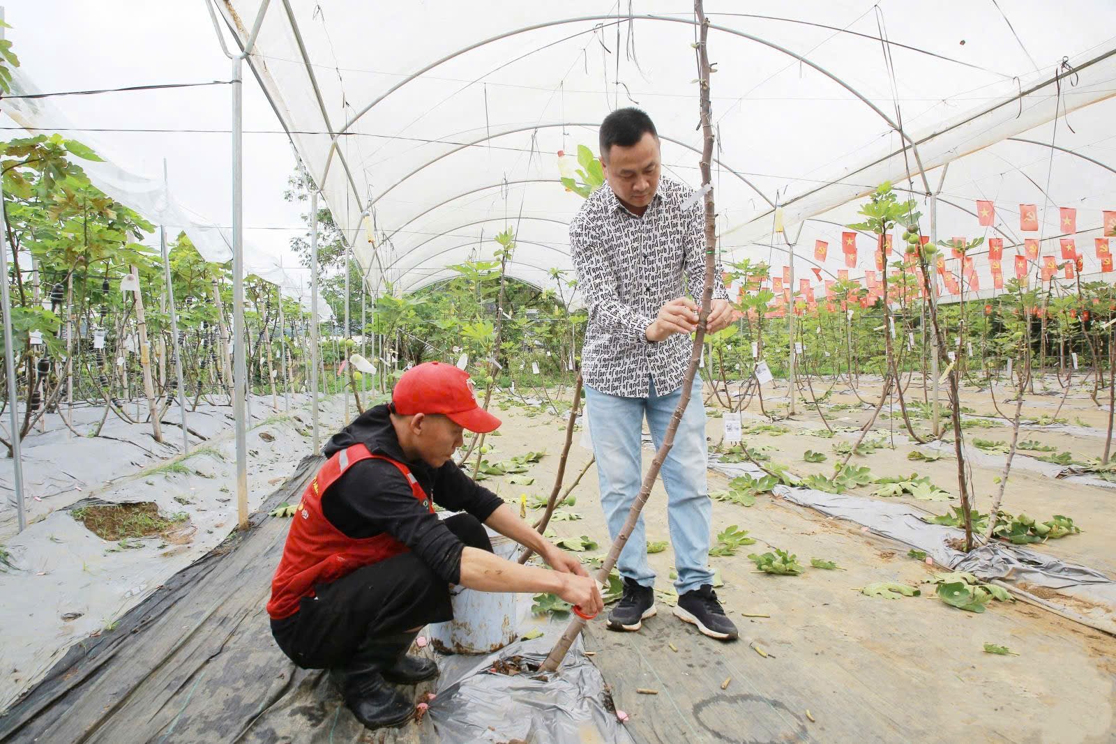Có một “vườn địa đàng” giữa cao nguyên Mộc Châu Có một “vườn địa đàng” giữa cao nguyên Mộc Châu