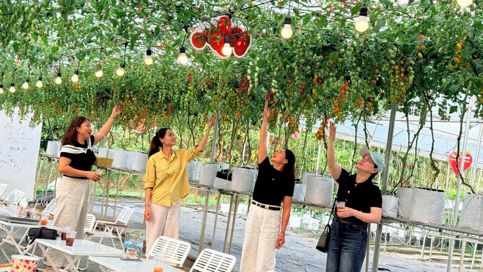 Có một “vườn địa đàng” giữa cao nguyên Mộc Châu Có một “vườn địa đàng” giữa cao nguyên Mộc Châu