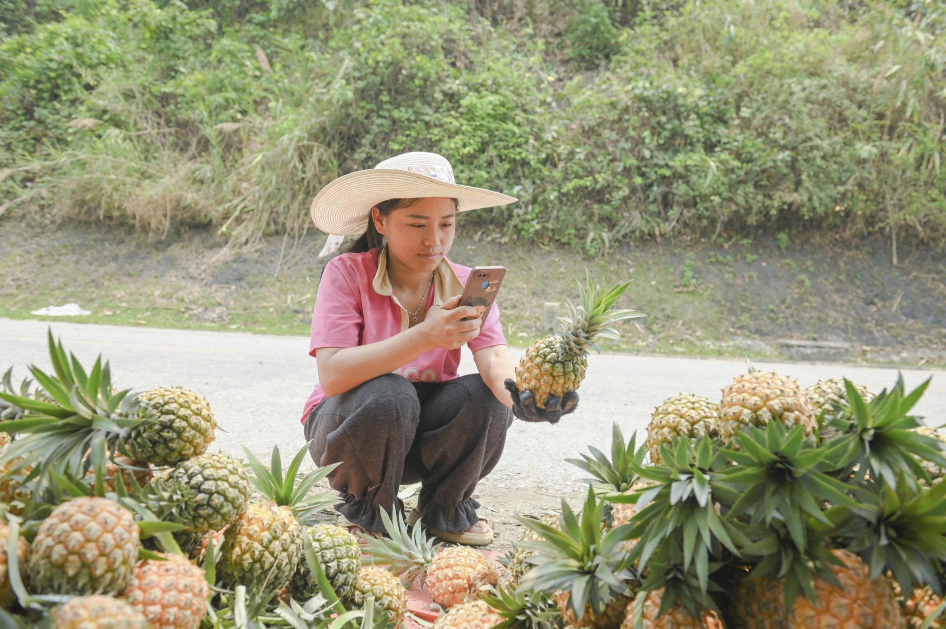 Mùa “dứa nữ hoàng” ở Na Sang (Điện Biên) Mùa “dứa nữ hoàng” ở Na Sang (Điện Biên)