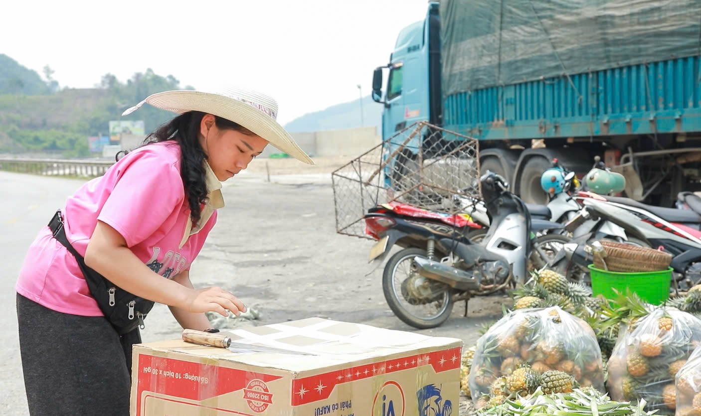 Mùa “dứa nữ hoàng” ở Na Sang (Điện Biên) Mùa “dứa nữ hoàng” ở Na Sang (Điện Biên)