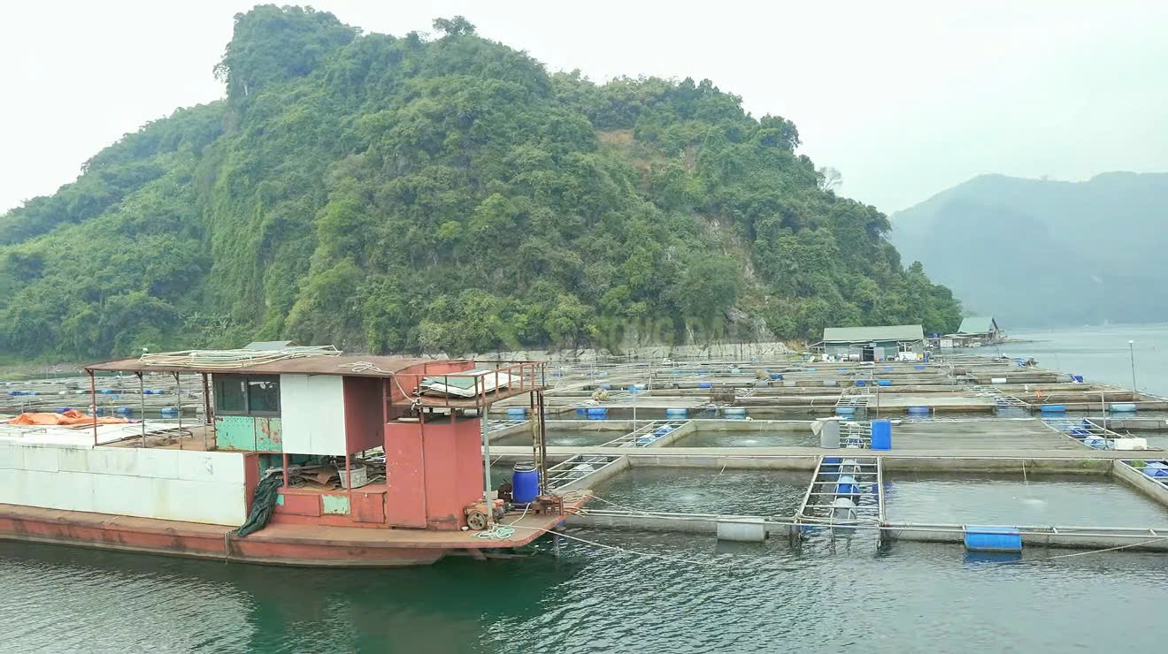 Giữ vị ngọt sông Đà trong từng sợi ruốc cá OCOP Giữ vị ngọt sông Đà trong từng sợi ruốc cá OCOP