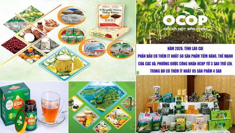 OCOP Lào Cai chuyển mình với tư duy xanh và thương mại số OCOP Lào Cai chuyển mình với tư duy xanh và thương mại số
