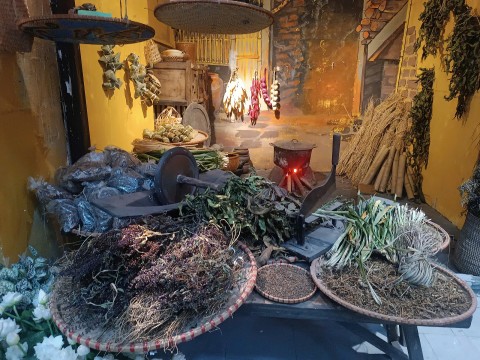 tet doan ngo xua va nay duoc tai hien sinh dong tai hoang thanh thang long
