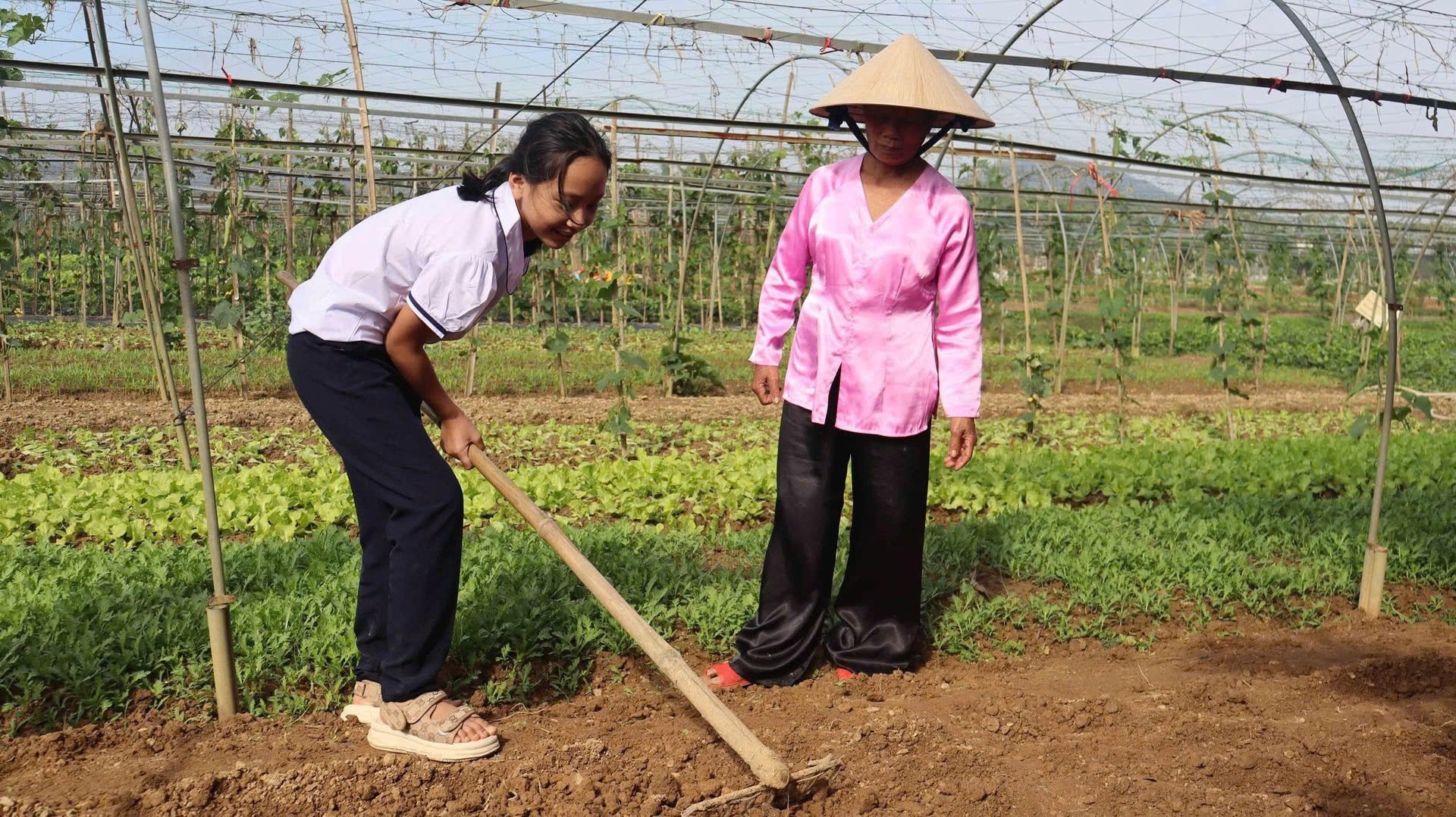 Khi du lịch chạm vào nông nghiệp: OCOP Đà Nẵng tìm thấy lối đi bền vững