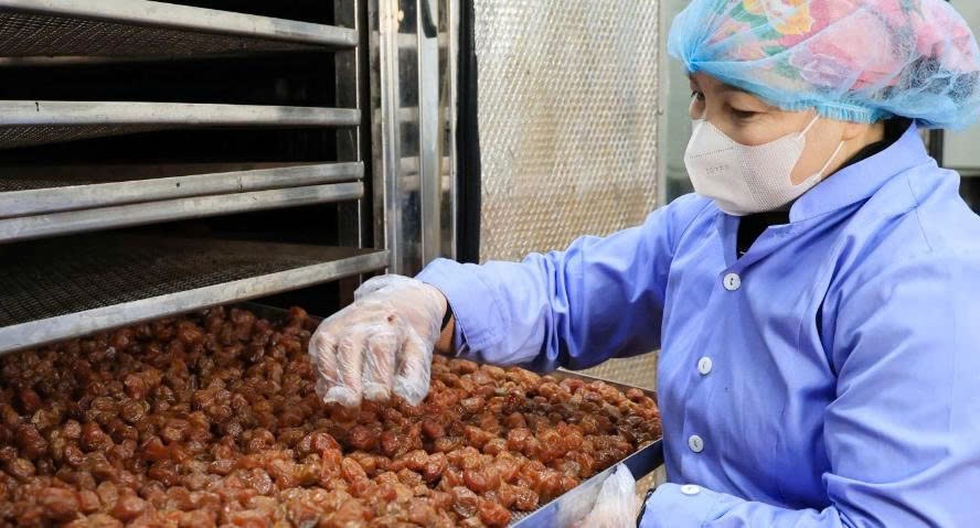 7 sản phẩm OCOP từ một HTX: Công nghệ sấy dẻo của Quyết Thanh Mộc Châu