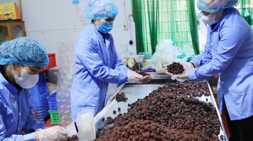 7 sản phẩm OCOP từ một HTX: Công nghệ sấy dẻo của Quyết Thanh Mộc Châu