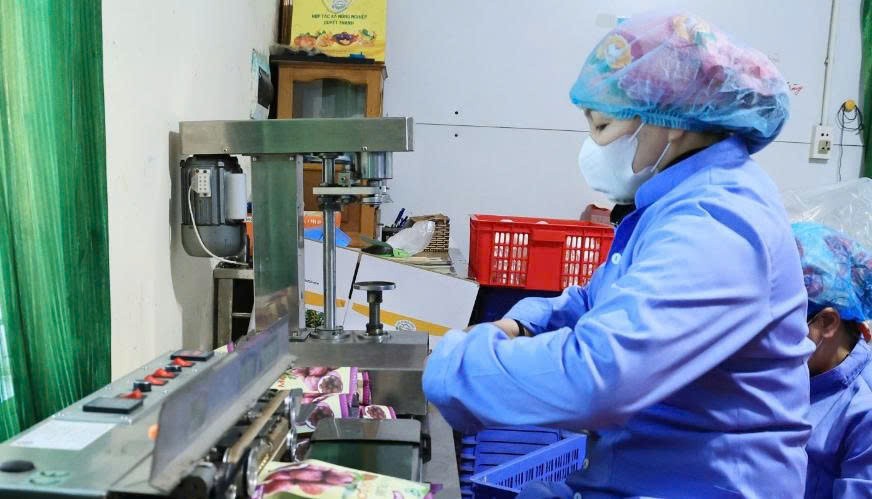 7 sản phẩm OCOP từ một HTX: Công nghệ sấy dẻo của Quyết Thanh Mộc Châu