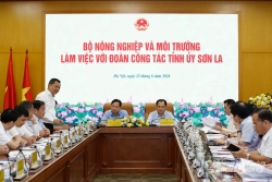 Sơn La xây dựng nền kinh tế bền vững từ nông, lâm nghiệp và dịch vụ