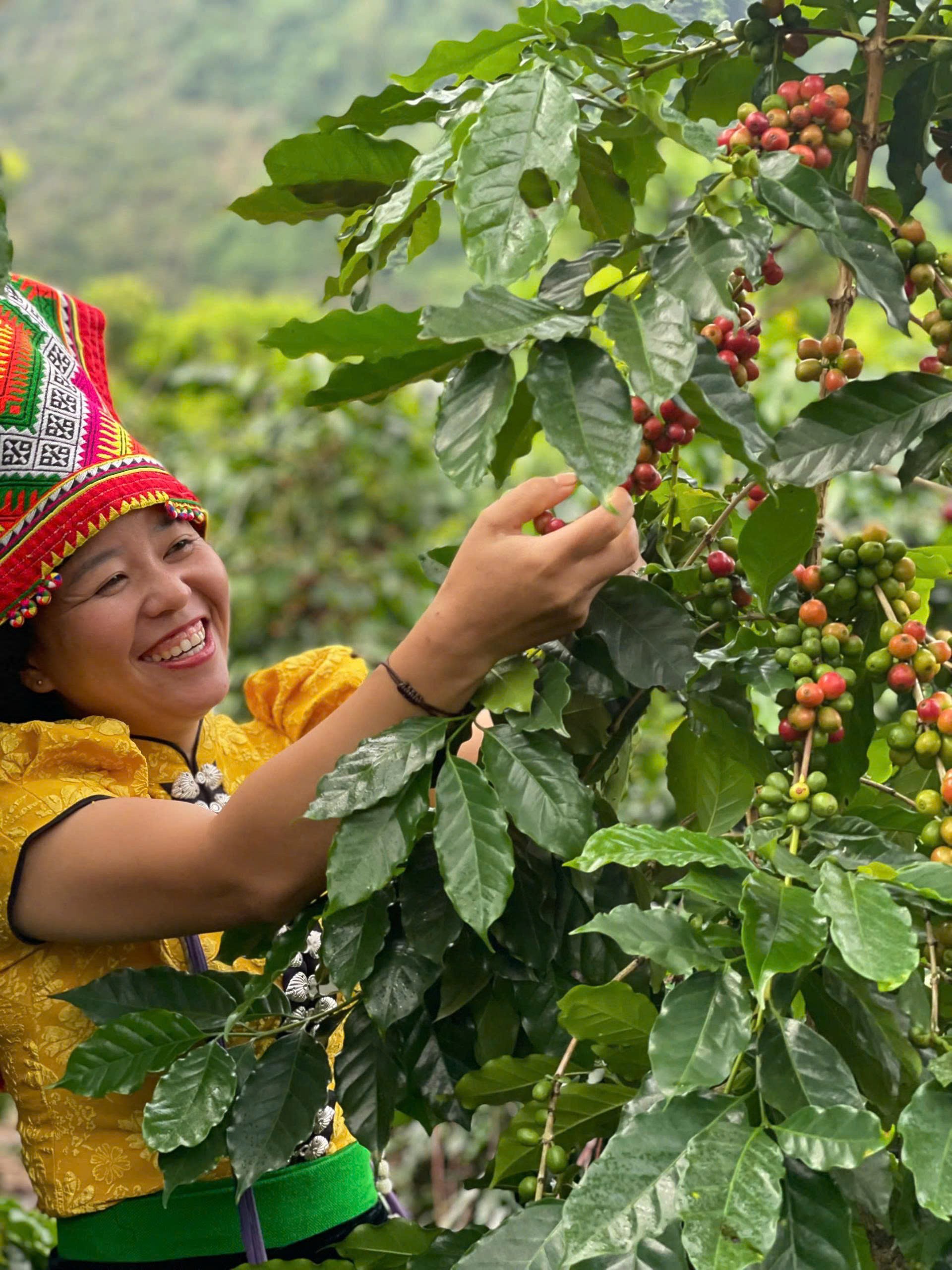 “Vàng đen” trên đất Muổi Nọi