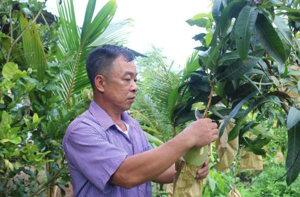 “Làm ít nhưng làm tốt”: Bài học từ 16 sản phẩm OCOP Yên Châu