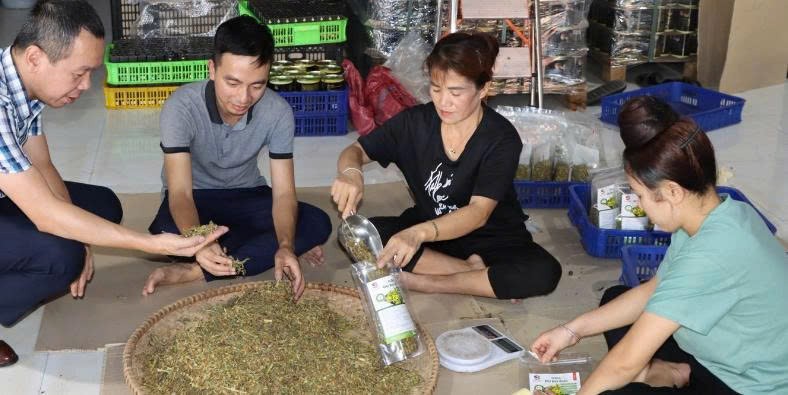 “Làm ít nhưng làm tốt”: Bài học từ 16 sản phẩm OCOP Yên Châu