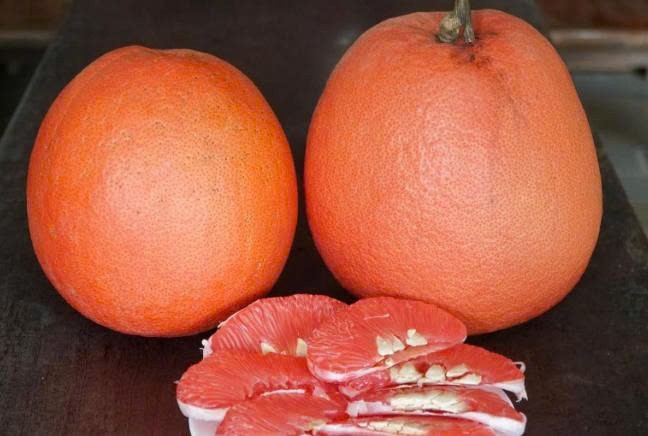 Bưởi Luận Văn: Sản vật tiến vua “hồi sinh” thành sản phẩm OCOP 4 sao Bưởi Luận Văn: Sản vật tiến vua “hồi sinh” thành sản phẩm OCOP 4 sao