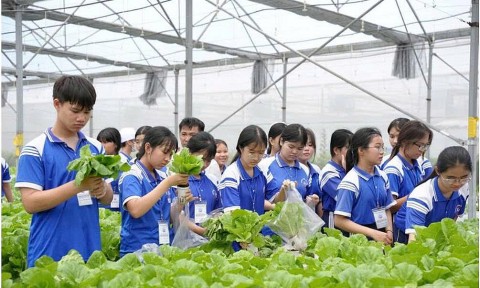 tp ho chi minh tang cuong dua hoc sinh den voi lang nghe va nong nghiep hien dai