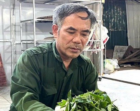 bo pho len rung dung thuong hieu che binh son