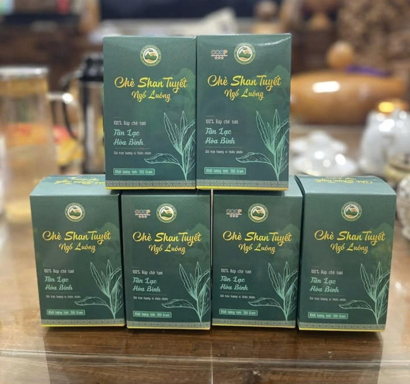 Chè Shan Tuyết Ngổ Luông - tinh hoa OCOP ở “thung lũng trường thọ” Chè Shan Tuyết Ngổ Luông - tinh hoa OCOP ở “thung lũng trường thọ”