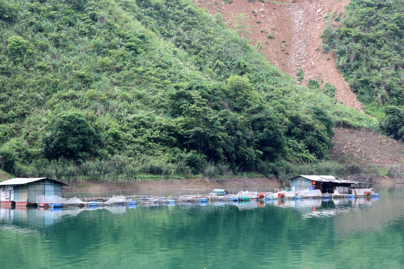 Những “đầu tàu” trên hành trình phát triển nông thôn khu vực Thuận Châu (Sơn La) Những “đầu tàu” trên hành trình phát triển nông thôn khu vực Thuận Châu (Sơn La)
