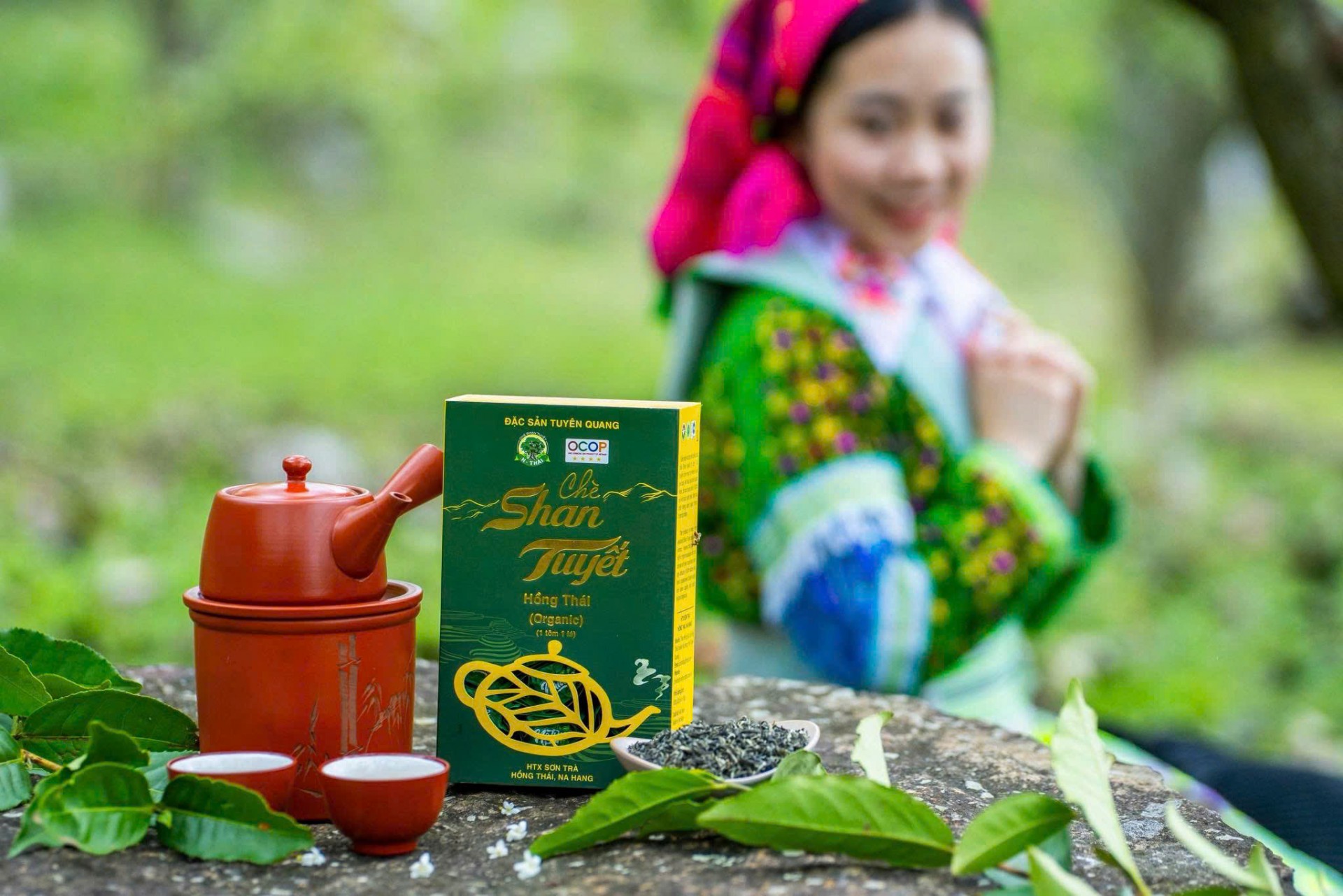 Hương trà từ miền mây trắng