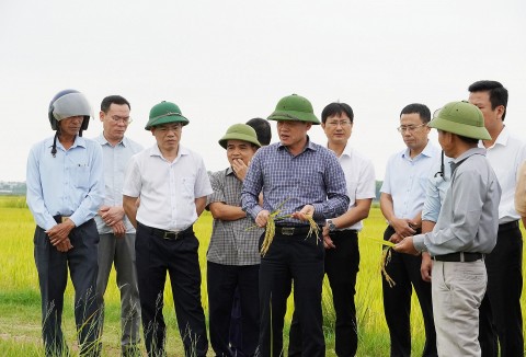 quang tri lua chon le thuy va cam lo xay dung mo hinh nong thon so giai doan 2026 2030