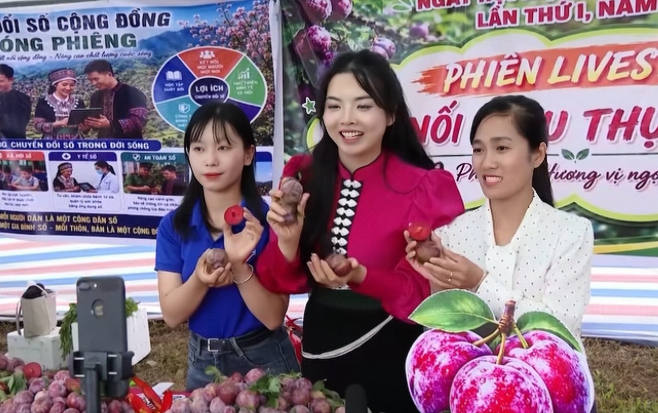 Hành trình số hoá nông sản Sơn La Hành trình số hoá nông sản Sơn La