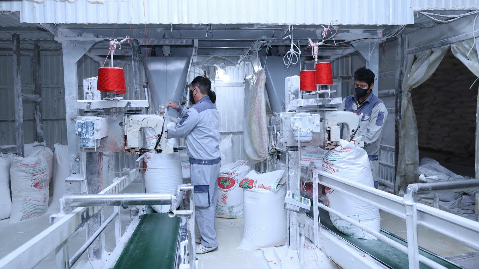 Đánh thức “mỏ vàng xanh” trên đất dốc Sơn La