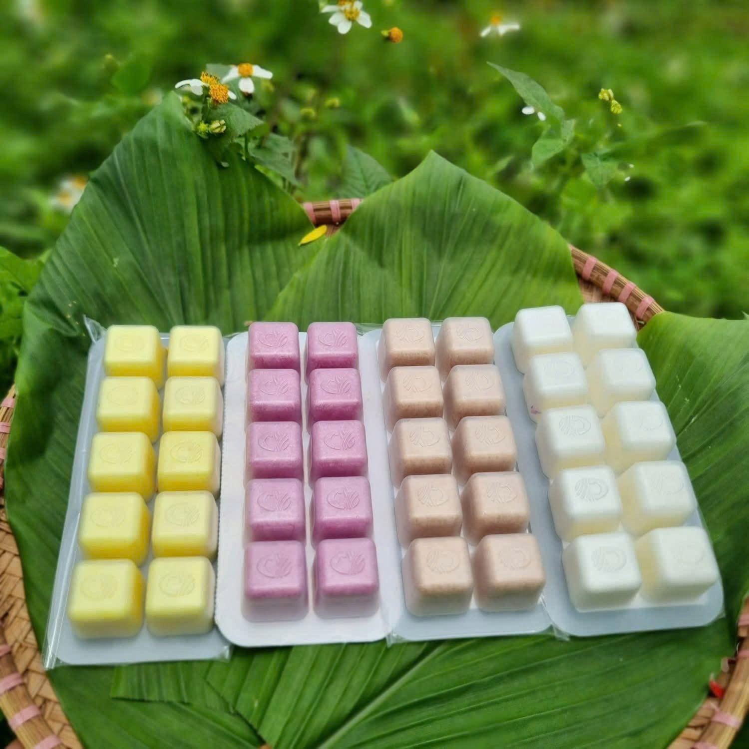 Vị ngọt trên thảo nguyên Mộc Châu Vị ngọt trên thảo nguyên Mộc Châu