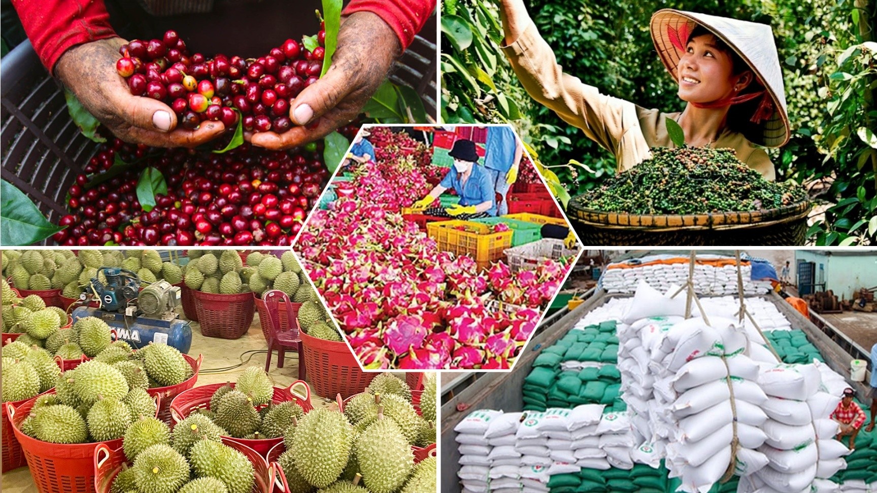 “Đòn bẩy chiến lược” đưa OCOP Việt Nam ra thị trường năm châu “Đòn bẩy chiến lược” đưa OCOP Việt Nam ra thị trường năm châu