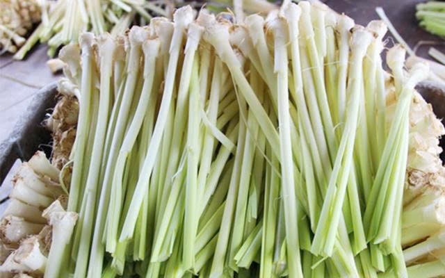Ca Mau: Traditional professions that hold the soul of the earth at the end of heaven
