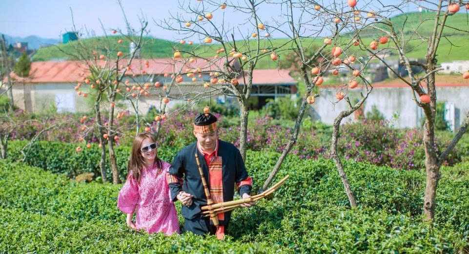 Thiết kế góc Thiết kế góc