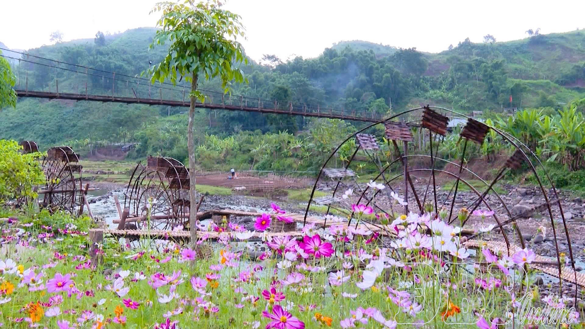 Thiết kế góc Thiết kế góc