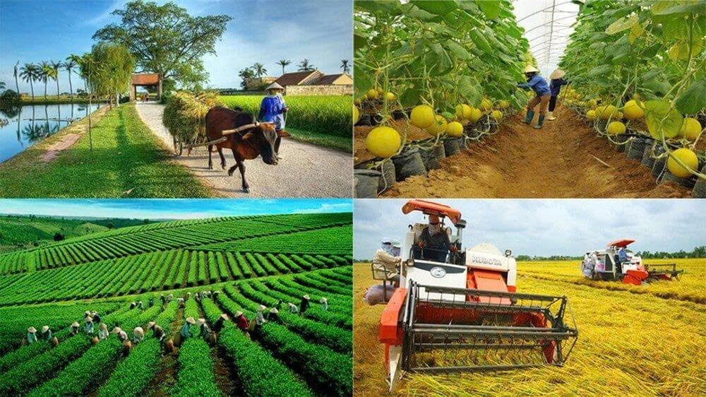 Bốn nguồn vốn vay ưu đãi cho chủ thể OCOP: vay ở đâu, cần điều kiện gì, lãi suất bao nhiêu Bốn nguồn vốn vay ưu đãi cho chủ thể OCOP: vay ở đâu, cần điều kiện gì, lãi suất bao nhiêu