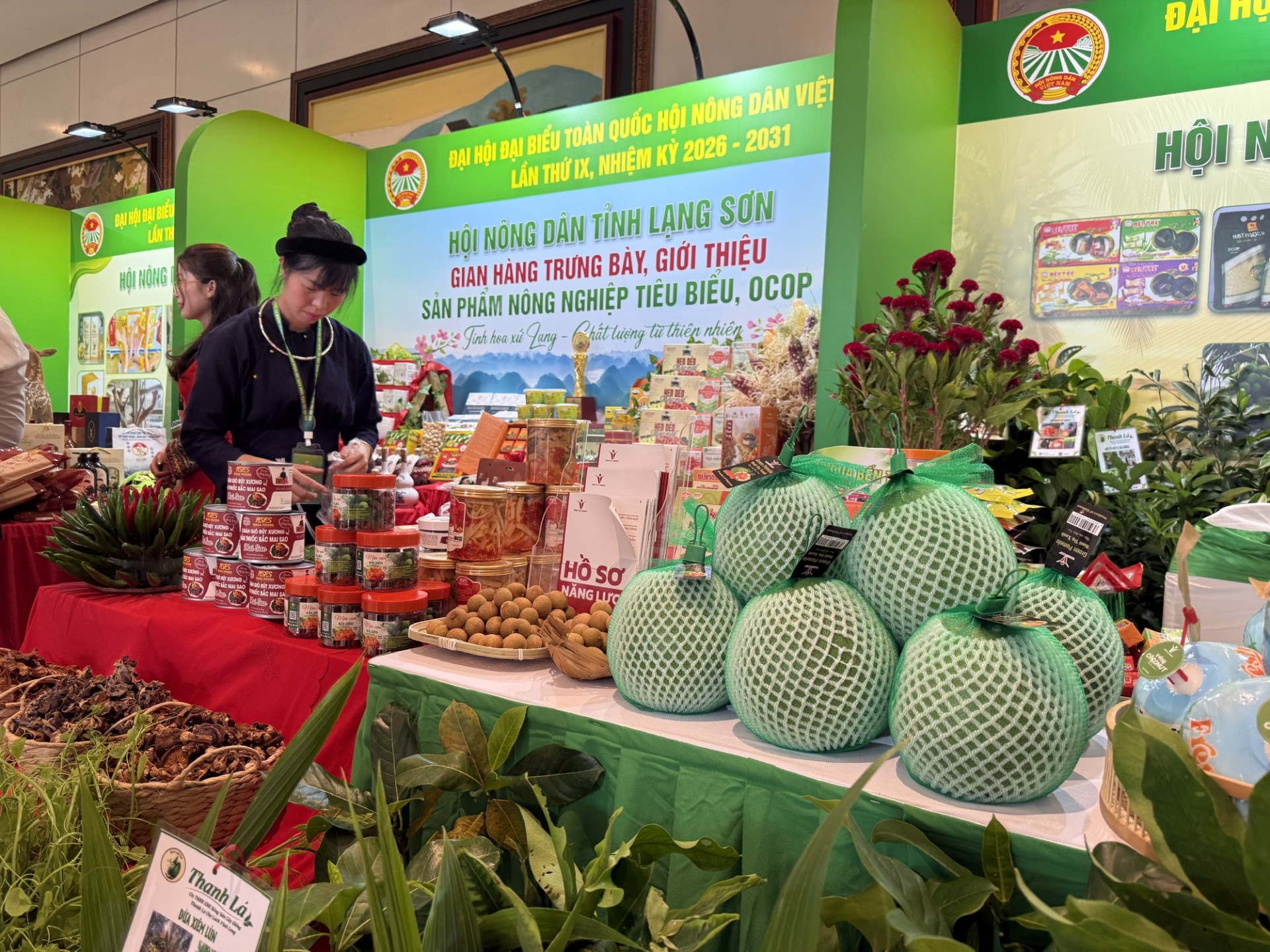 Tăng cường truyền thông cho sản phẩm OCOP: Chìa khóa nâng tầm thương hiệu Việt Tăng cường truyền thông cho sản phẩm OCOP: Chìa khóa nâng tầm thương hiệu Việt