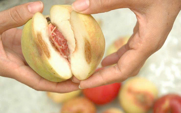 Hàng dập nát, cước phí cao - Bà con mình đang kẹt ở đâu?