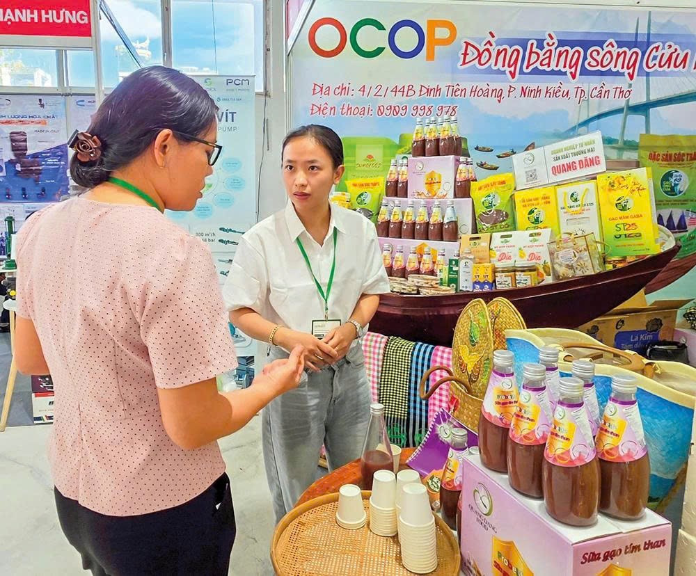 Hàng dập nát, cước phí cao - Bà con mình đang kẹt ở đâu?